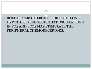  ROLE OF CAROTID BODY IS DISPUTED-ONE
HYPOTHESIS SUGGESTS THAT OSCILLATIONS
IN PO2 AND PCO2 MAY STIMULATE THE
PERIPHERAL CHEMORECEPTORS.
 
