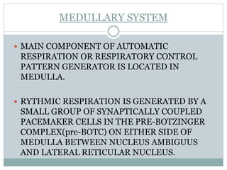 MEDULLARY SYSTEM
 MAIN COMPONENT OF AUTOMATIC
RESPIRATION OR RESPIRATORY CONTROL
PATTERN GENERATOR IS LOCATED IN
MEDULLA.
 RYTHMIC RESPIRATION IS GENERATED BY A
SMALL GROUP OF SYNAPTICALLY COUPLED
PACEMAKER CELLS IN THE PRE-BOTZINGER
COMPLEX(pre-BOTC) ON EITHER SIDE OF
MEDULLA BETWEEN NUCLEUS AMBIGUUS
AND LATERAL RETICULAR NUCLEUS.
 