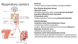 The Control of Breathing Physiology.pptx