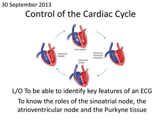 Control of the Cardiac Cycle
L/O To be able to identify key features of an ECG
To know the roles of the sinoatrial node, the
atrioventricular node and the Purkyne tissue
30 September 2013
 
