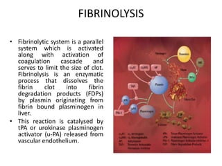 FIBRINOLYSIS
• Fibrinolytic system is a parallel
system which is activated
along with activation of
coagulation cascade and
serves to limit the size of clot.
Fibrinolysis is an enzymatic
process that dissolves the
fibrin clot into fibrin
degradation products (FDPs)
by plasmin originating from
fibrin bound plasminogen in
liver.
• This reaction is catalysed by
tPA or urokinase plasminogen
activator (u-PA) released from
vascular endothelium.
 