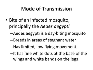 Mode of Transmission 
• Bite of an infected mosquito, 
principally the Aedes aegypti 
–Aedes aegypti is a day-biting mosquito 
–Breeds in areas of stagnant water 
–Has limited, low flying movement 
–It has fine white dots at the base of the 
wings and white bands on the legs 
 
