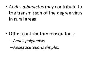 • Aedes albopictus may contribute to 
the transmisson of the degree virus 
in rural areas 
• Other contributory mosquitoes: 
–Aedes polynensis 
–Aedes scutellaris simplex 
 