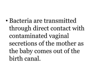 • Bacteria are transmitted 
through direct contact with 
contaminated vaginal 
secretions of the mother as 
the baby comes out of the 
birth canal. 
 