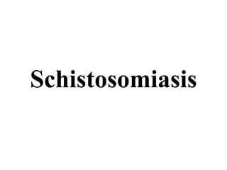 Schistosomiasis 
 