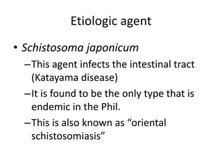 Etiologic agent 
• Schistosoma japonicum 
–This agent infects the intestinal tract 
(Katayama disease) 
–It is found to be the only type that is 
endemic in the Phil. 
–This is also known as “oriental 
schistosomiasis” 
 
