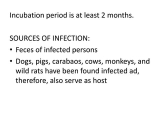 Incubation period is at least 2 months. 
SOURCES OF INFECTION: 
• Feces of infected persons 
• Dogs, pigs, carabaos, cows, monkeys, and 
wild rats have been found infected ad, 
therefore, also serve as host 
 