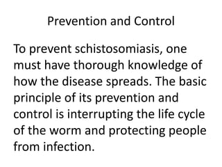 Prevention and Control 
To prevent schistosomiasis, one 
must have thorough knowledge of 
how the disease spreads. The basic 
principle of its prevention and 
control is interrupting the life cycle 
of the worm and protecting people 
from infection. 
 