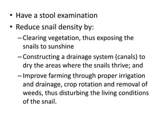 • Have a stool examination 
• Reduce snail density by: 
– Clearing vegetation, thus exposing the 
snails to sunshine 
– Constructing a drainage system (canals) to 
dry the areas where the snails thrive; and 
– Improve farming through proper irrigation 
and drainage, crop rotation and removal of 
weeds, thus disturbing the living conditions 
of the snail. 
 