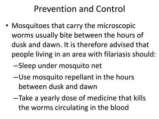 Prevention and Control 
• Mosquitoes that carry the microscopic 
worms usually bite between the hours of 
dusk and dawn. It is therefore advised that 
people living in an area with filariasis should: 
–Sleep under mosquito net 
–Use mosquito repellant in the hours 
between dusk and dawn 
–Take a yearly dose of medicine that kills 
the worms circulating in the blood 
 