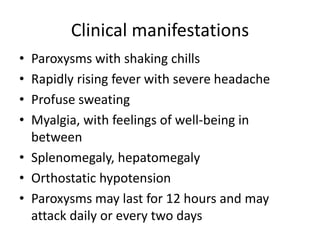 Clinical manifestations 
• Paroxysms with shaking chills 
• Rapidly rising fever with severe headache 
• Profuse sweating 
• Myalgia, with feelings of well-being in 
between 
• Splenomegaly, hepatomegaly 
• Orthostatic hypotension 
• Paroxysms may last for 12 hours and may 
attack daily or every two days 
 
