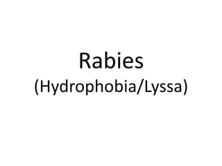 Rabies 
(Hydrophobia/Lyssa) 
 