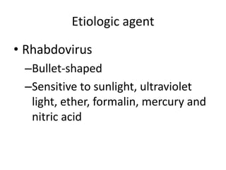 Etiologic agent 
• Rhabdovirus 
–Bullet-shaped 
–Sensitive to sunlight, ultraviolet 
light, ether, formalin, mercury and 
nitric acid 
 