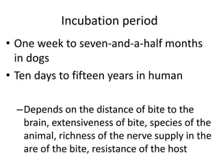 Incubation period 
• One week to seven-and-a-half months 
in dogs 
• Ten days to fifteen years in human 
–Depends on the distance of bite to the 
brain, extensiveness of bite, species of the 
animal, richness of the nerve supply in the 
are of the bite, resistance of the host 
 