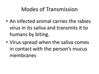 Modes of Transmission 
• An infected animal carries the rabies 
virus in its saliva and transmits it to 
humans by biting. 
• Virus spread when the saliva comes 
in contact with the person’s mucus 
membranes 
 