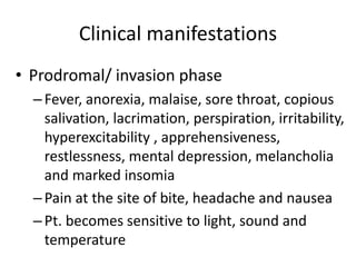Clinical manifestations 
• Prodromal/ invasion phase 
– Fever, anorexia, malaise, sore throat, copious 
salivation, lacrimation, perspiration, irritability, 
hyperexcitability , apprehensiveness, 
restlessness, mental depression, melancholia 
and marked insomia 
– Pain at the site of bite, headache and nausea 
– Pt. becomes sensitive to light, sound and 
temperature 
 