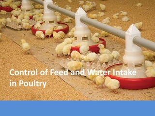 Control of Feed and Water Intake
in Poultry
 