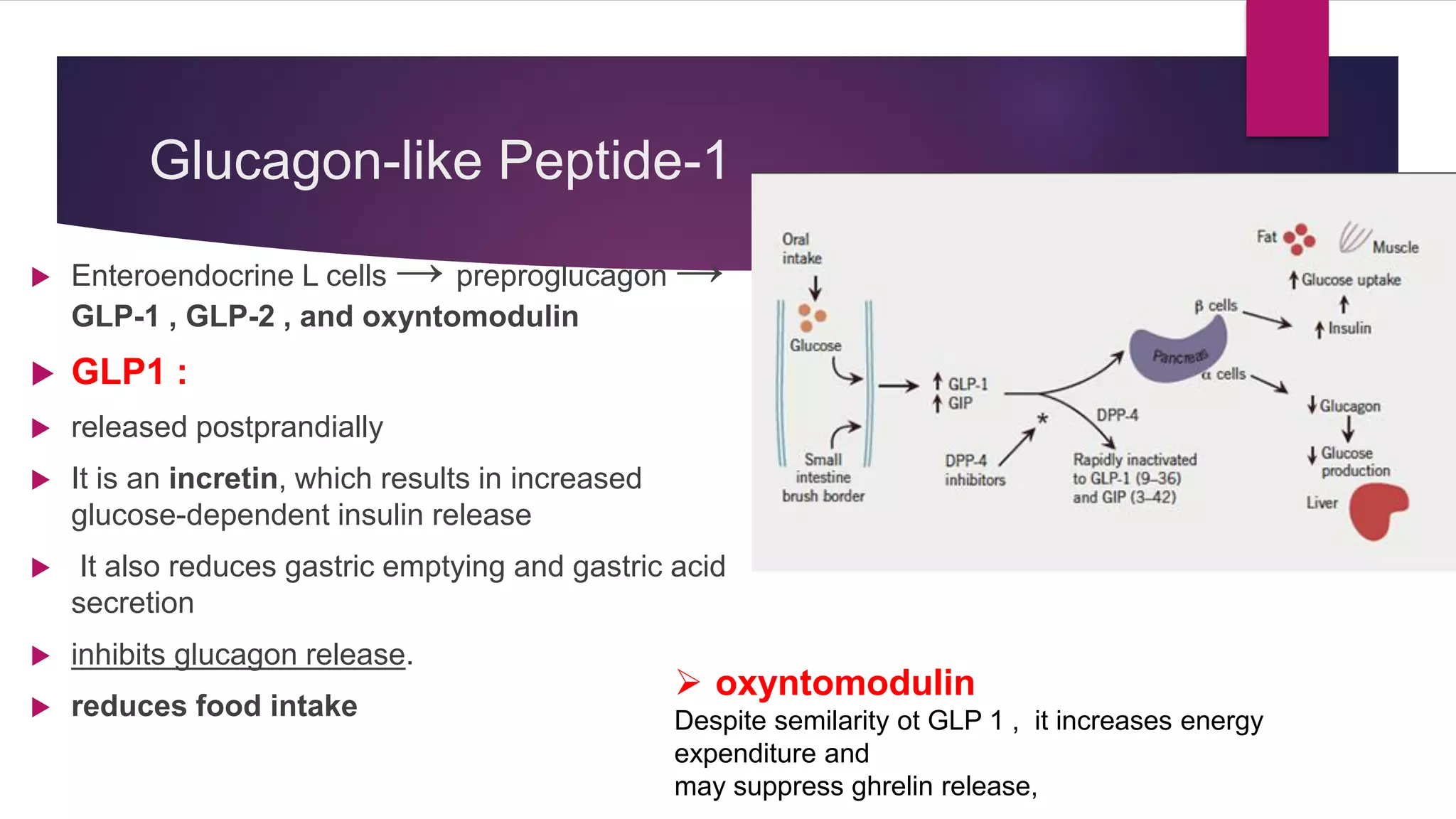How Does GLP-1 Cause Weight Loss? Science Explained