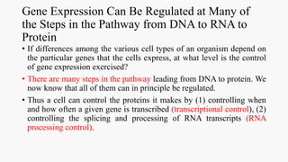 gene expression in prokaryotes and eukaryotes | PPTX