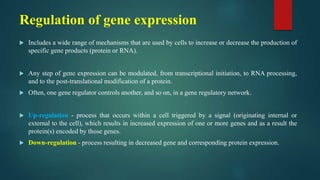 Control of gene expression in plants | PPTX