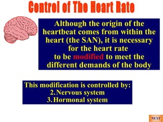 Although the origin of the
      heartbeat comes from within the
       heart (the SAN), it is necessary
              for the heart rate
         to be modified to meet the
       different demands of the body

This modification is controlled by:
       2.Nervous system
      3.Hormonal system
 