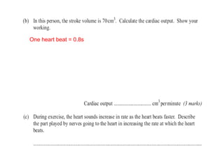 One heart beat = 0.8s
 