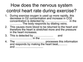 How does the nervous system
 control heart rate during exercise?
1. During exercise oxygen is used up more rapidly, this
   decrease in O2 concentration and increase in CO2
   concentration is detected by …………………… in the
   …………. The body responds by dilating veins.
2. This causes more blood to be returned to the heart and
   therefore the heart is stretched more and the pressure
   in the heart increases.
3. This is detected by …………………                        and
   …………………… in the …………….
4. The ..................................... processes this information
   and responds by making the heart beat,...........
   and ....................................
 