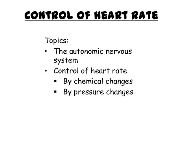 Control of heart rate - A2 AQA Biology