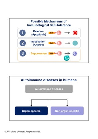 Control of immune response by regulatory T cells | PDF