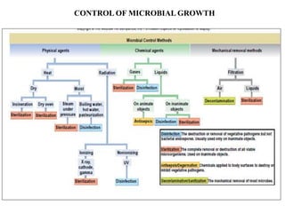 CONTROL OF MICROBIAL GROWTH
 