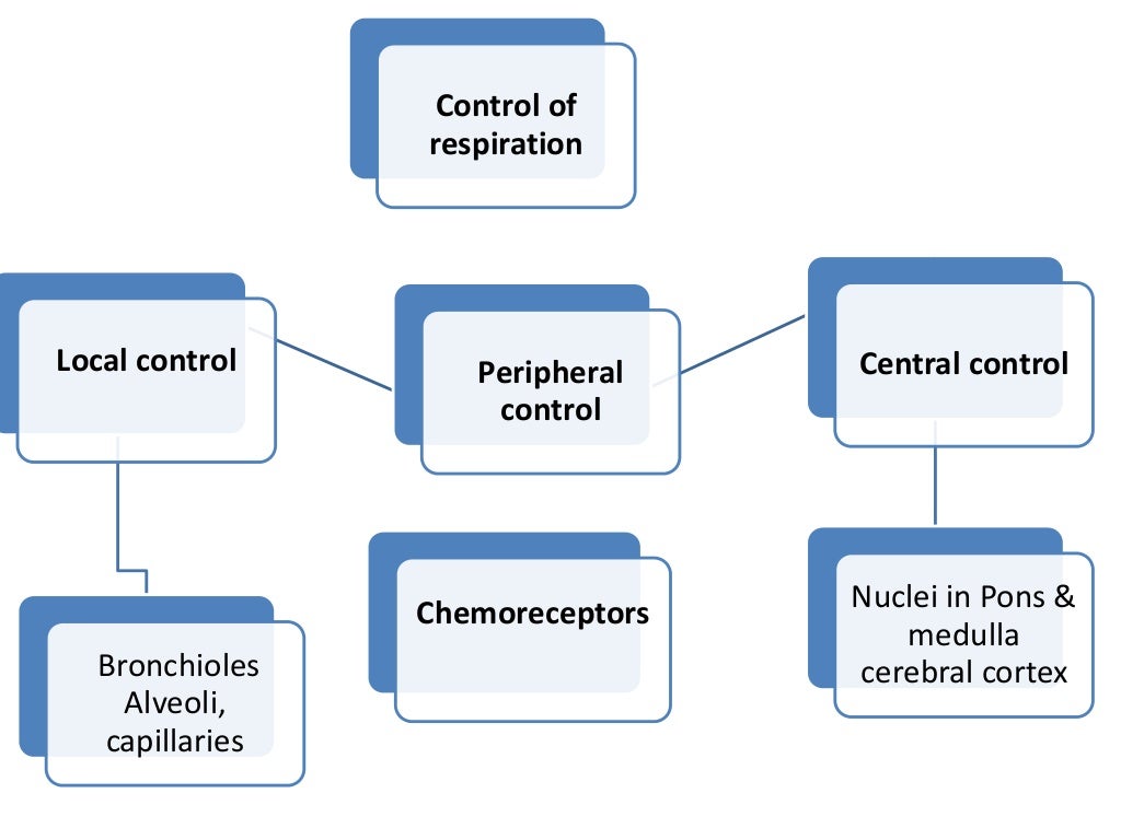 Control of respiration