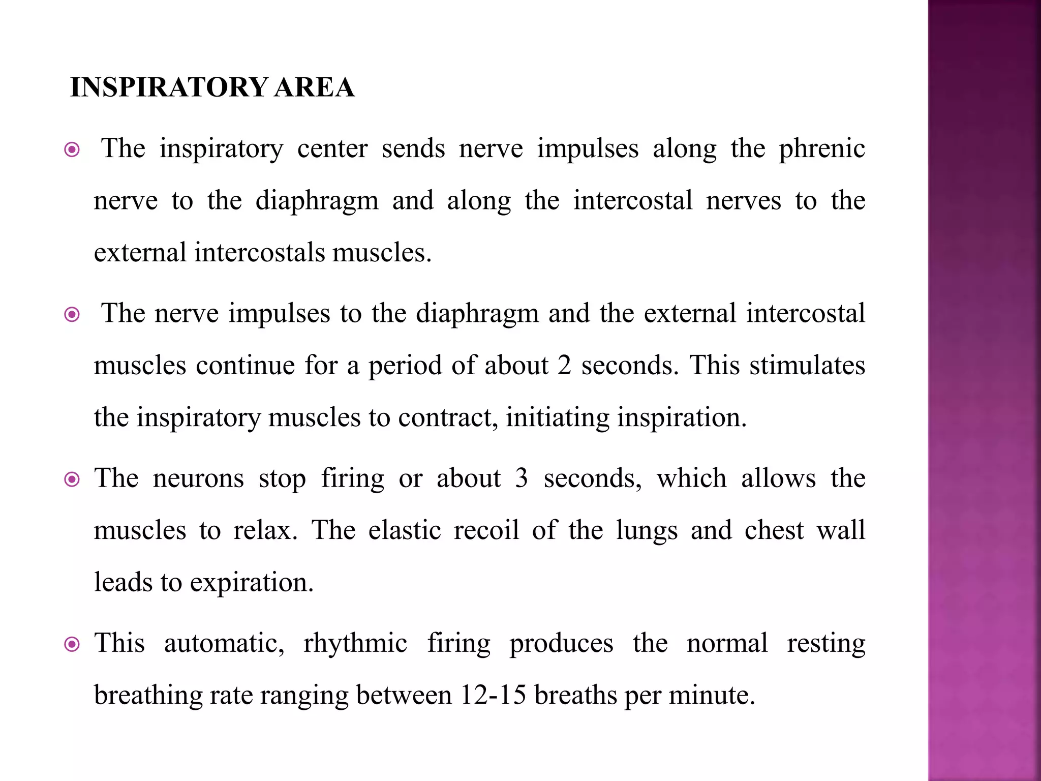 INSPIRATORYAREA
 The inspiratory center sends nerve impulses along the phrenic
nerve to the diaphragm and along the intercostal nerves to the
external intercostals muscles.
 The nerve impulses to the diaphragm and the external intercostal
muscles continue for a period of about 2 seconds. This stimulates
the inspiratory muscles to contract, initiating inspiration.
 The neurons stop firing or about 3 seconds, which allows the
muscles to relax. The elastic recoil of the lungs and chest wall
leads to expiration.
 This automatic, rhythmic firing produces the normal resting
breathing rate ranging between 12-15 breaths per minute.
 