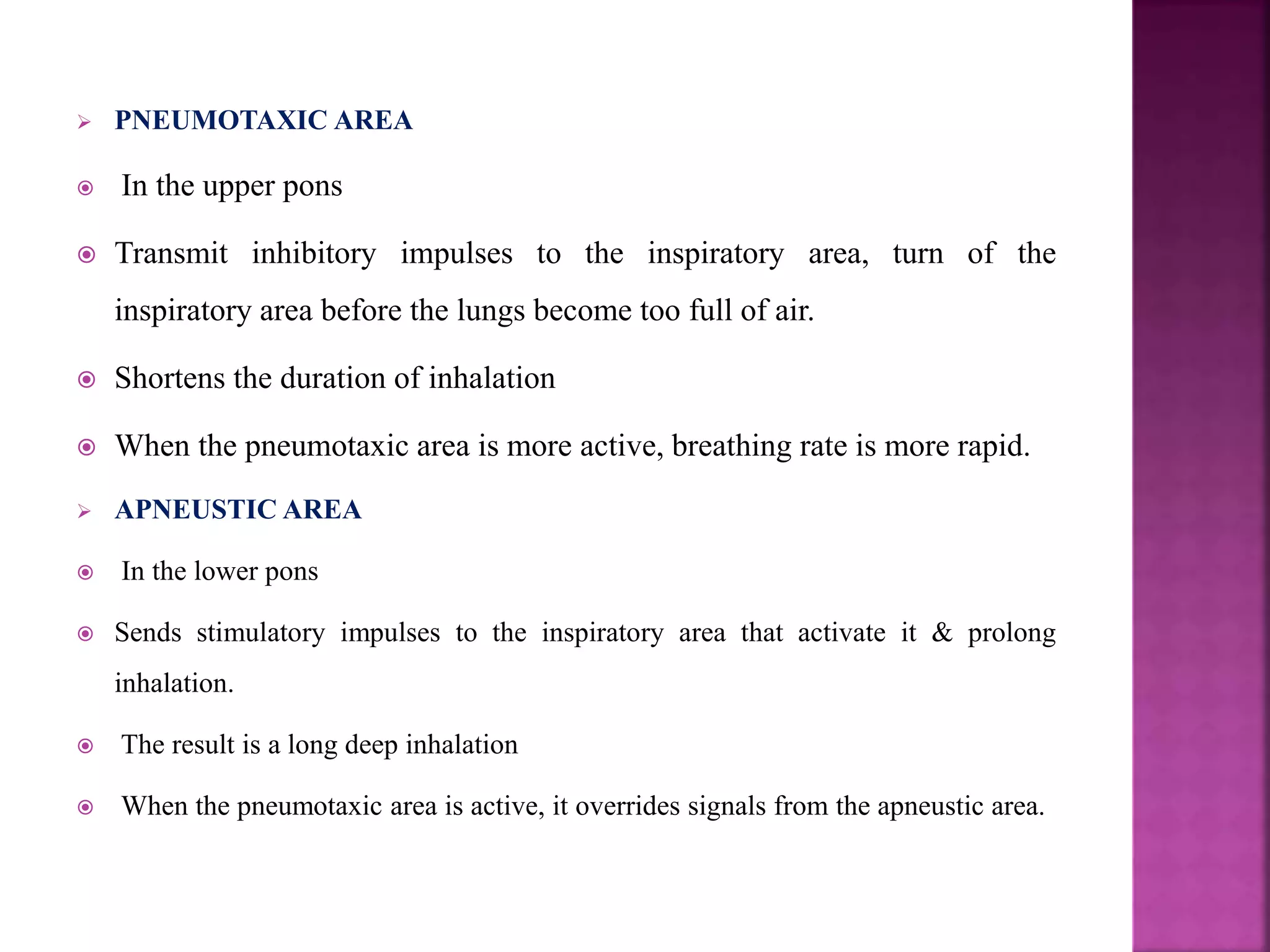  PNEUMOTAXIC AREA
 In the upper pons
 Transmit inhibitory impulses to the inspiratory area, turn of the
inspiratory area before the lungs become too full of air.
 Shortens the duration of inhalation
 When the pneumotaxic area is more active, breathing rate is more rapid.
 APNEUSTIC AREA
 In the lower pons
 Sends stimulatory impulses to the inspiratory area that activate it & prolong
inhalation.
 The result is a long deep inhalation
 When the pneumotaxic area is active, it overrides signals from the apneustic area.
 