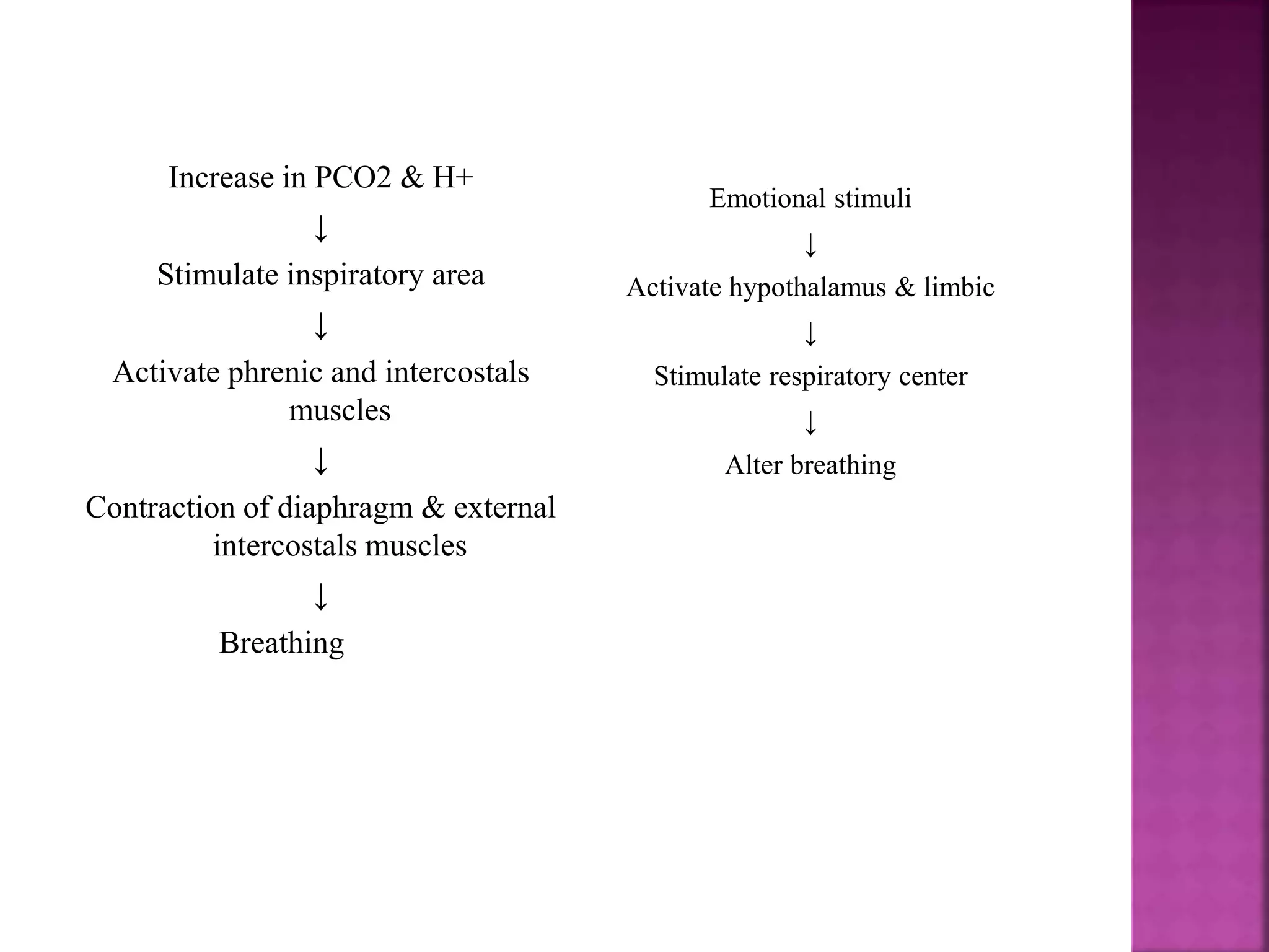 Increase in PCO2 & H+
↓
Stimulate inspiratory area
↓
Activate phrenic and intercostals
muscles
↓
Contraction of diaphragm & external
intercostals muscles
↓
Breathing
Emotional stimuli
↓
Activate hypothalamus & limbic
↓
Stimulate respiratory center
↓
Alter breathing
 