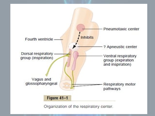 Control of respiration, Neural and Chemical.pptx
