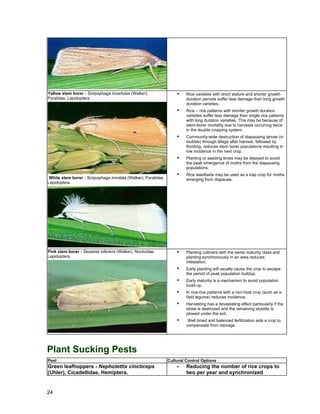 Yellow stem borer - Scirpophaga incertulas (Walker),
Pyralidae, Lepidoptera
White stem borer - Scirpophaga innotata (Walker), Pyralidae,
Lepidoptera.
Rice varieties with short stature and shorter growth
duration periods suffer less damage than long growth
duration varieties.
Rice – rice patterns with shorter growth duration
varieties suffer less damage than single rice patterns
with long duration varieties. This may be because of
stem-borer mortality due to harvests occurring twice
in the double cropping system.
Community-wide destruction of diapausing larvae (in
stubble) through tillage after harvest, followed by
flooding, reduces stem borer populations resulting in
low incidence in the next crop.
Planting or seeding times may be delayed to avoid
the peak emergence of moths from the diapausing
populations.
Rice seedbeds may be used as a trap crop for moths
emerging from diapause.
Pink stem borer - Sesamia inferens (Walker), Noctuidae,
Lepidoptera.
Planting cultivars with the same maturity class and
planting synchronously in an area reduces
infestation.
Early planting will usually cause the crop to escape
the period of peak population buildup.
Early maturity is a mechanism to avoid population
build-up.
In rice-rice patterns with a non-host crop (such as a
field legume) reduces incidence.
Harvesting has a devastating effect particularly if the
straw is destroyed and the remaining stubble is
plowed under the soil.
Well timed and balanced fertilization aids a crop to
compensate from damage.
Plant Sucking Pests
Pest Cultural Control Options
Green leafhoppers - Nephotettix cincticeps
(Uhler), Cicadellidae, Hemiptera.
Reducing the number of rice crops to
two per year and synchronized
24
 