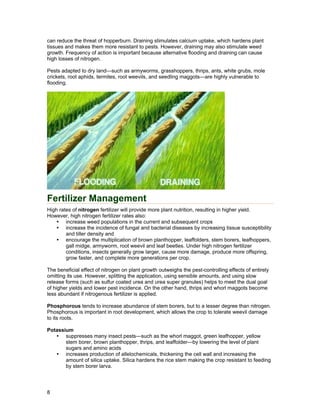 can reduce the threat of hopperburn. Draining stimulates calcium uptake, which hardens plant
tissues and makes them more resistant to pests. However, draining may also stimulate weed
growth. Frequency of action is important because alternative flooding and draining can cause
high losses of nitrogen.
Pests adapted to dry land—such as armyworms, grasshoppers, thrips, ants, white grubs, mole
crickets, root aphids, termites, root weevils, and seedling maggots—are highly vulnerable to
flooding.
Fertilizer Management
High rates of nitrogen fertilizer will provide more plant nutrition, resulting in higher yield.
However, high nitrogen fertilizer rates also:
increase weed populations in the current and subsequent crops
increase the incidence of fungal and bacterial diseases by increasing tissue susceptibility
and tiller density and
encourage the multiplication of brown planthopper, leaffolders, stem borers, leafhoppers,
gall midge, armyworm, root weevil and leaf beetles. Under high nitrogen fertilizer
conditions, insects generally grow larger, cause more damage, produce more offspring,
grow faster, and complete more generations per crop.
The beneficial effect of nitrogen on plant growth outweighs the pest-controlling effects of entirely
omitting its use. However, splitting the application, using sensible amounts, and using slow
release forms (such as sulfur coated urea and urea super granules) helps to meet the dual goal
of higher yields and lower pest incidence. On the other hand, thrips and whorl maggots become
less abundant if nitrogenous fertilizer is applied.
Phosphorous tends to increase abundance of stem borers, but to a lesser degree than nitrogen.
Phosphorous is important in root development, which allows the crop to tolerate weevil damage
to its roots.
Potassium
suppresses many insect pests—such as the whorl maggot, green leafhopper, yellow
stem borer, brown planthopper, thrips, and leaffolder—by lowering the level of plant
sugars and amino acids
increases production of allelochemicals, thickening the cell wall and increasing the
amount of silica uptake. Silica hardens the rice stem making the crop resistant to feeding
by stem borer larva.
8
 