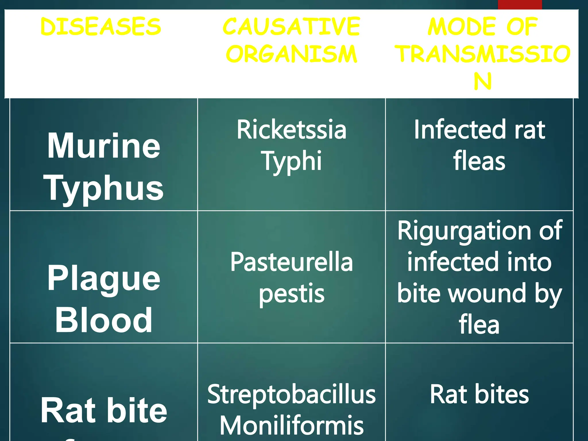 Rodent Vs Insect control of rodents and insects 2024.pptx