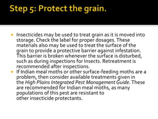Control of store grain pests A Lecture By Mr Allah Dad Khan | PPTX