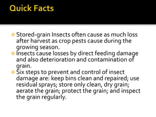 Control of store grain pests A Lecture By Mr Allah Dad Khan | PPTX