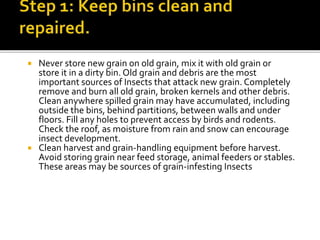 Control of store grain pests A Lecture By Mr Allah Dad Khan | PPTX