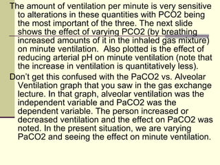 Ventilation Pco2 Control Of Ventilation | PPT