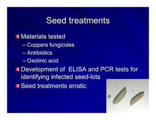 Control options rice_bacterial_panicle_blight