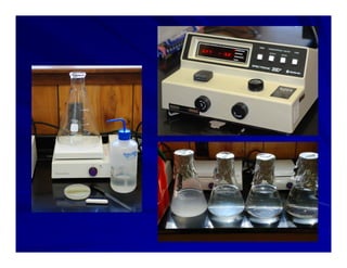 Control options rice_bacterial_panicle_blight