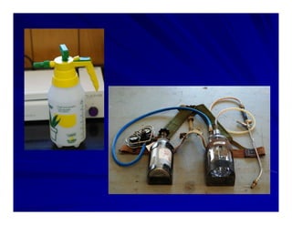 Control options rice_bacterial_panicle_blight