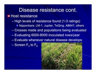 Control options rice_bacterial_panicle_blight