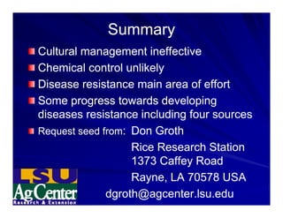 Control options rice_bacterial_panicle_blight