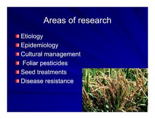 Control options rice_bacterial_panicle_blight