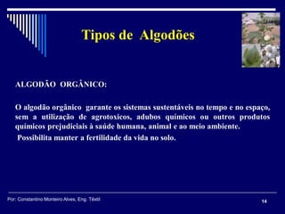 ALGODÃO ORGÂNICO:
O algodão orgânico garante os sistemas sustentáveis no tempo e no espaço,
sem a utilização de agrotoxicos, adubos químicos ou outros produtos
químicos prejudiciais à saúde humana, animal e ao meio ambiente.
Possibilita manter a fertilidade da vida no solo.
14
Tipos de Algodões
Por: Constantino Monteiro Alves, Eng. Têxtil
 
