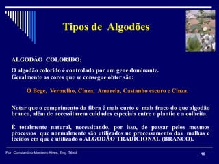 16
Tipos de Algodões
ALGODÃO COLORIDO:
O algodão colorido é controlado por um gene dominante.
Geralmente as cores que se consegue obter são:
O Bege, Vermelho, Cinza, Amarela, Castanho escuro e Cinza.
Notar que o comprimento da fibra é mais curto e mais fraco do que algodão
branco, além de necessitarem cuidados especiais entre o plantio e a colheita.
É totalmente natural, necessitando, por isso, de passar pelos mesmos
processos que normalmente são utilizados no processamento das malhas e
tecidos em que é utilizado o ALGODÃO TRADICIONAL (BRANCO).
Por: Constantino Monteiro Alves, Eng. Têxtil
 